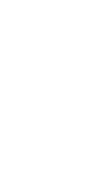 SOTES Logo